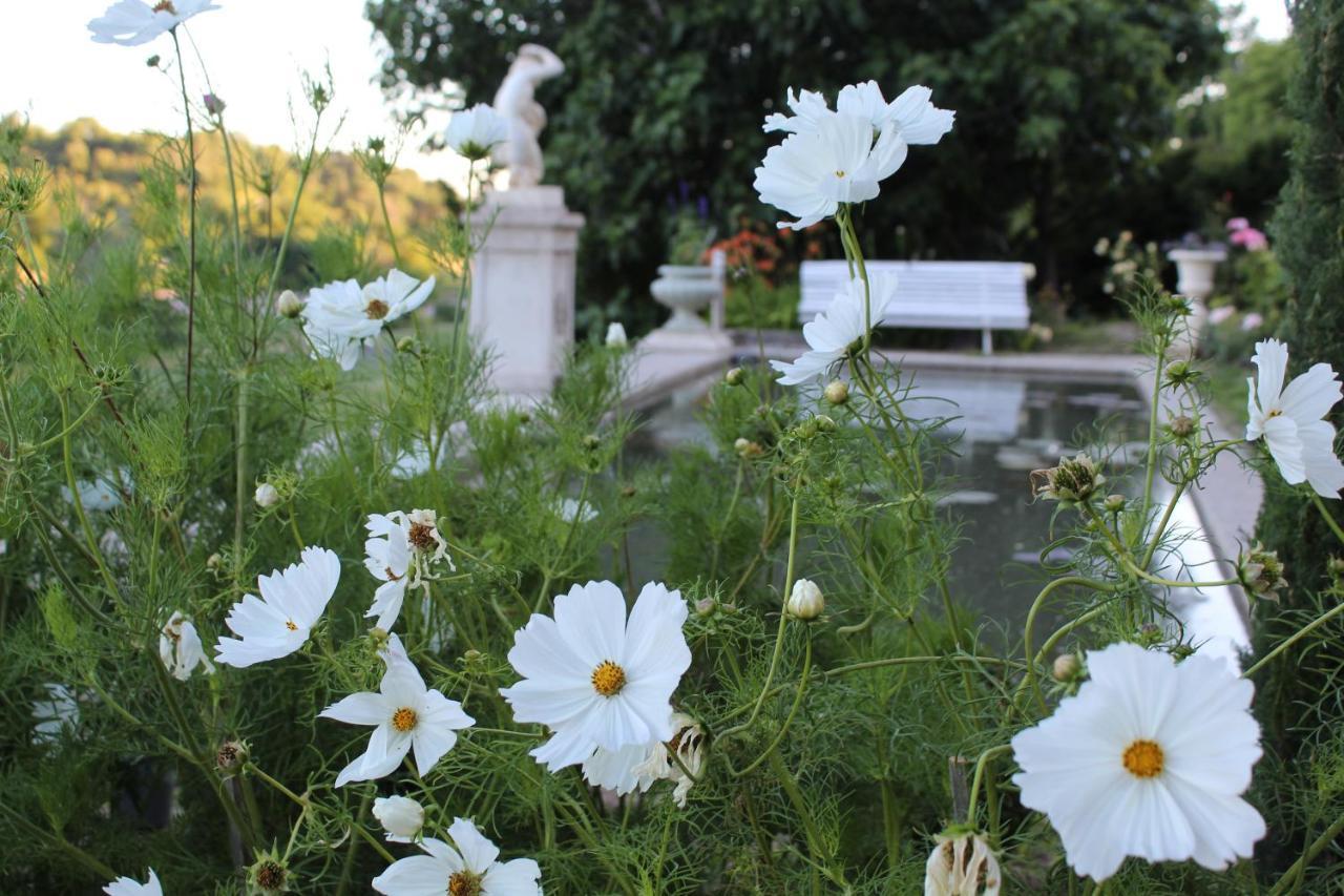 Chateau Du Grand Jardin Valensole Dış mekan fotoğraf