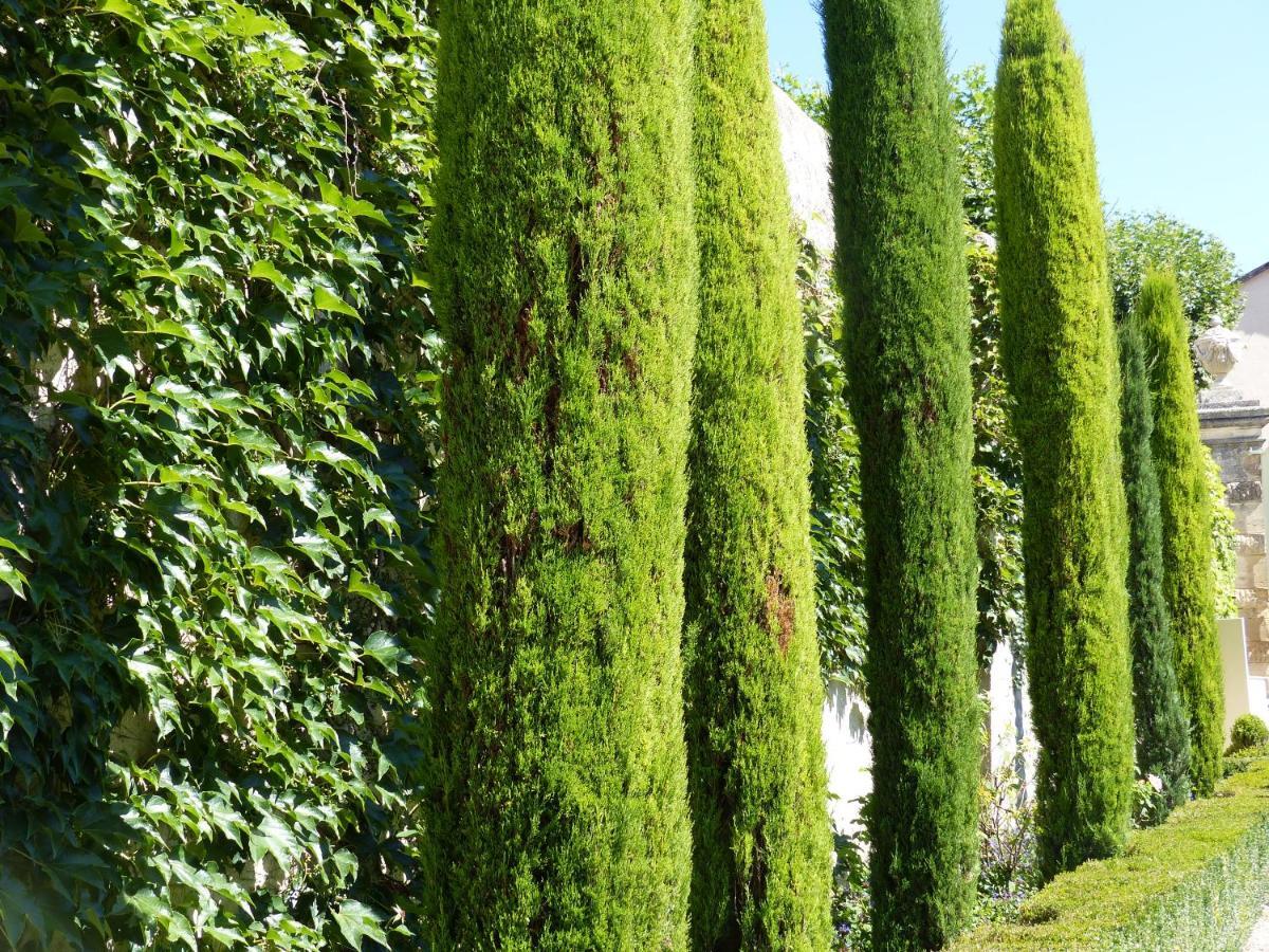 Chateau Du Grand Jardin Valensole Dış mekan fotoğraf
