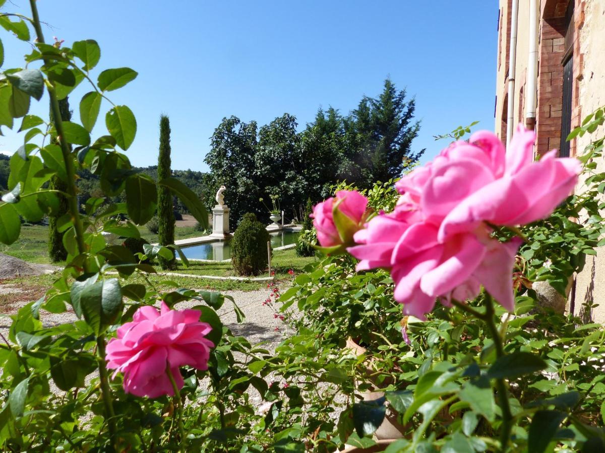 Chateau Du Grand Jardin Valensole Dış mekan fotoğraf